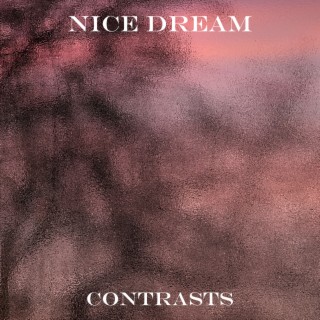 Nice Dream