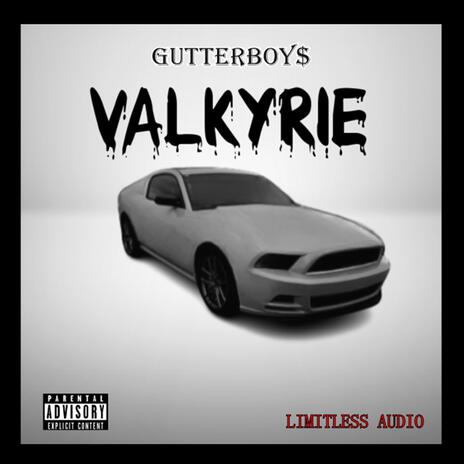 Valkyrie cover art