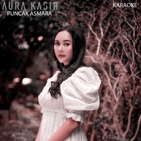 Puncak Asmara (Karaoke) cover art