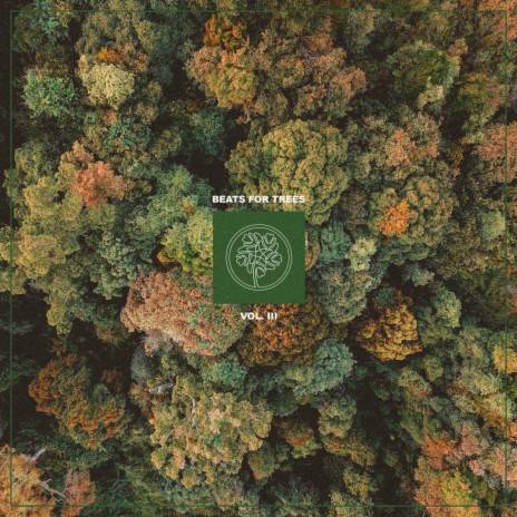 Misty Woods ft. Moderator & NK Music cover art