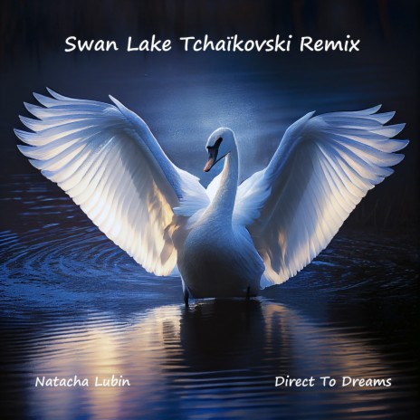 Swan Lake Tchaïkovski (Remix) ft. Natacha Lubin cover art