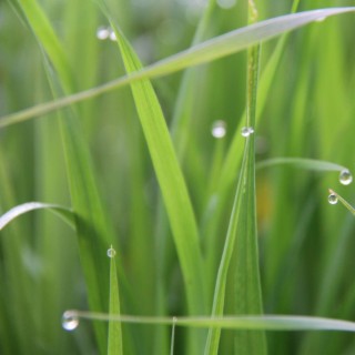 Tears In Heaven cover art