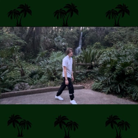 PALM TREE FREESTYLE cover art
