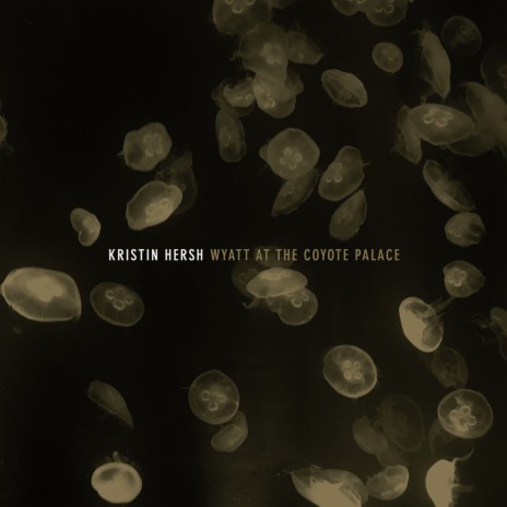 Secret Codes cover art