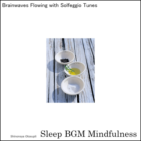 Lost in the Soundscapes of Neural Symphony for Night's Peace cover art