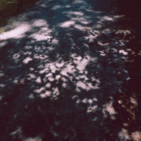 Waterfalls cover art