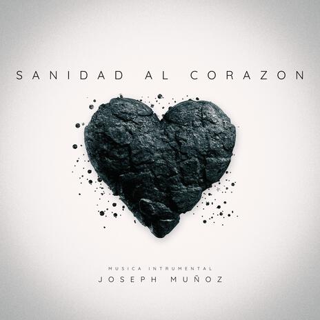 Sanidad en su habitacion cover art