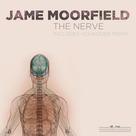 The Nerve (Volkoder Remix) cover art