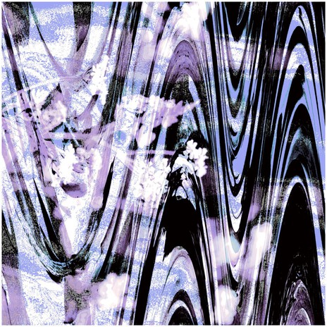 Ameleigh cover art