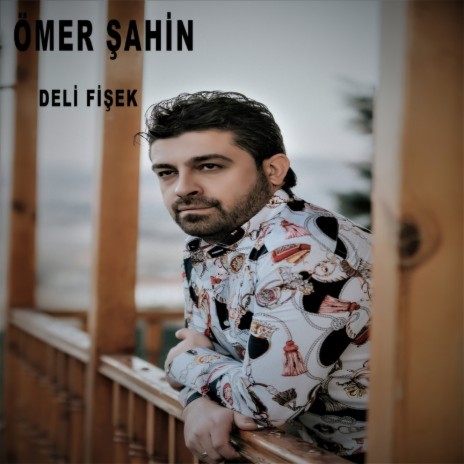 Evinize Varamadım cover art