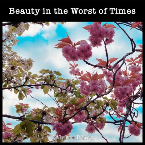 Beauty in the Worst of Times cover art