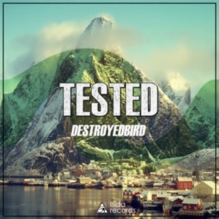 Tested (Original Mix) cover art