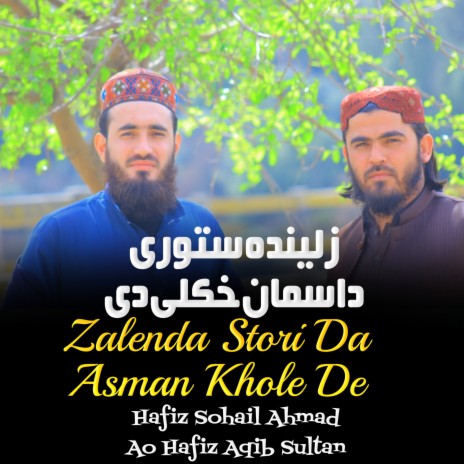 Zalenda Stori Da Asman Khole De ft. Hafiz Sohail Ahmad cover art