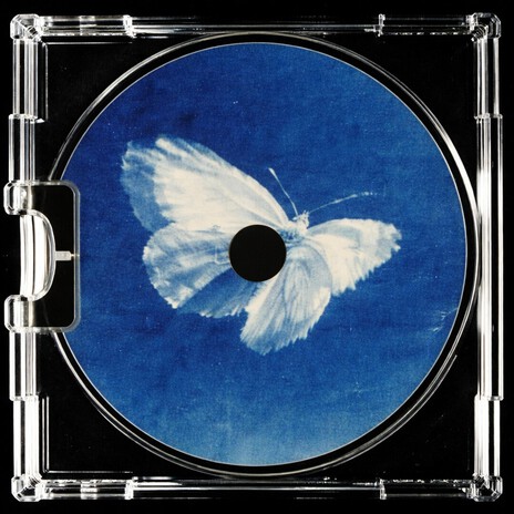 Fly Butterfly