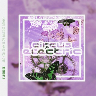 Are You Down (Low Mileage Remix) cover art
