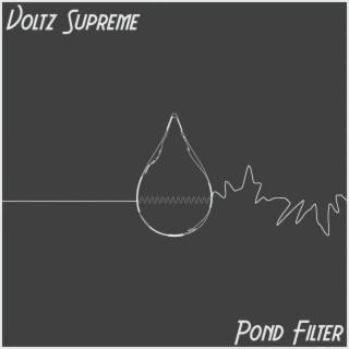 Pond Filter