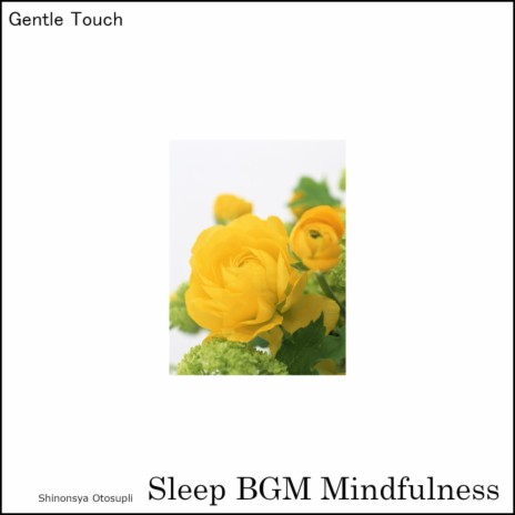 Serene Silence cover art