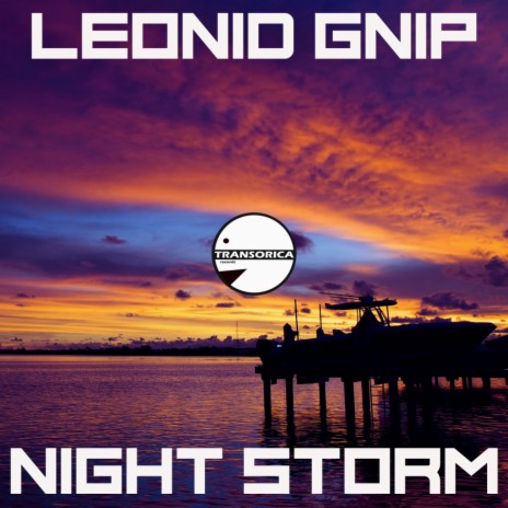 Night Storm (Radio Edit) cover art