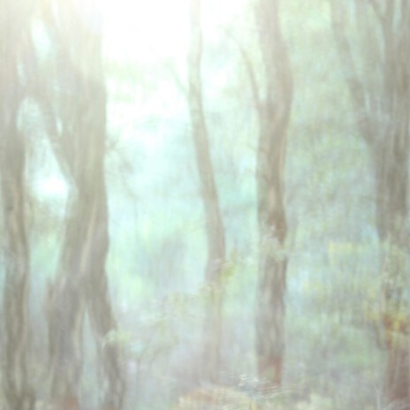Praecepio cover art
