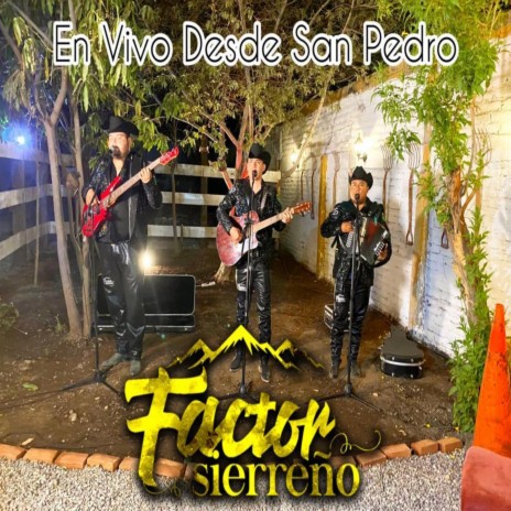 Caminos De La Vida (En Vivo) cover art