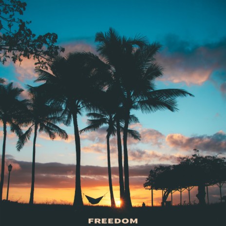 Freedom cover art