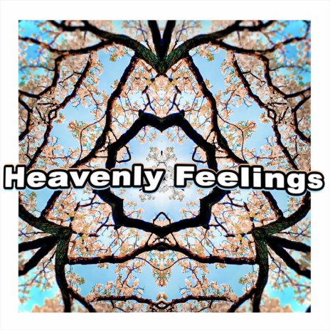 Heavenly Feelings cover art