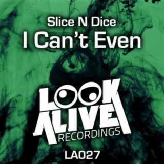 I Can't Even (Original Mix) cover art