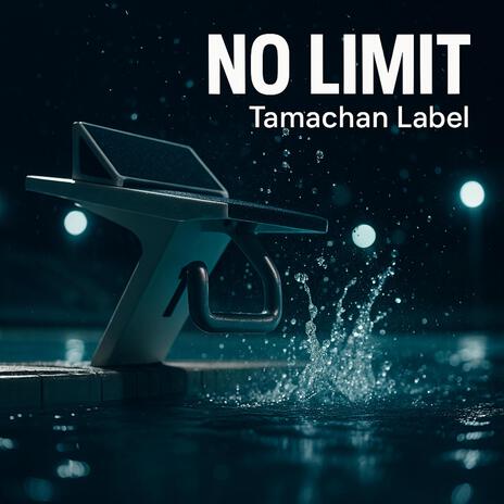 NO LIMIT cover art