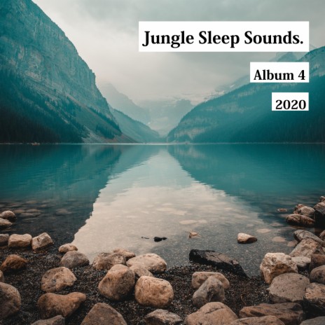 Relaxing Bird Sounds at Waterfront cover art
