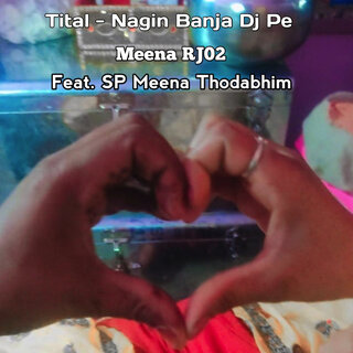 Nagin Banja Dj Pe ft. SP Meena Thodabhim