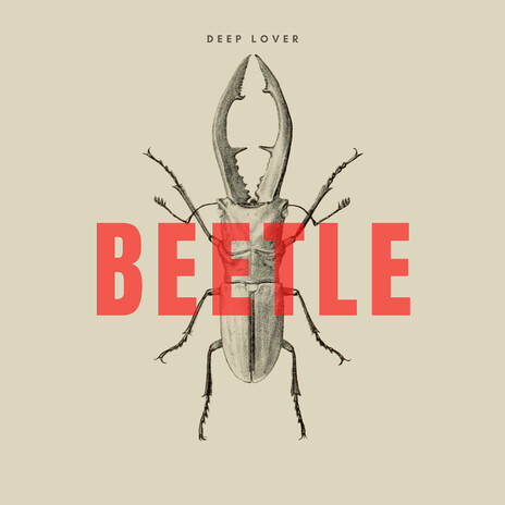 Beetle cover art