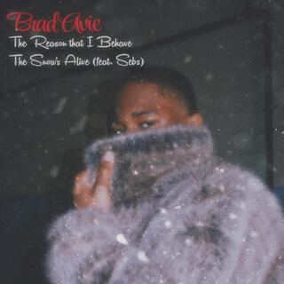 The Snow's Alive ft. Sebs cover art