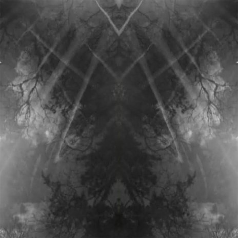 The Emperor Of All Maladies cover art