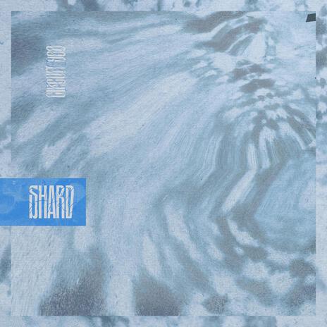 Shard (Salo Cin Remix) ft. Salo Cin cover art