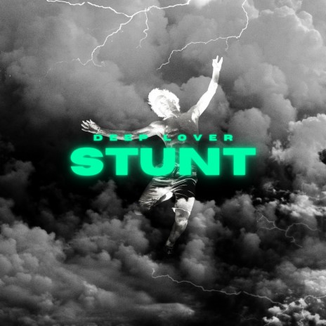 Stunt cover art
