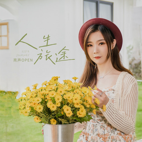 人生旅途 (DJ九零版伴奏) cover art