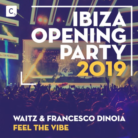 Feel the Vibe ft. Francesco Dinoia cover art