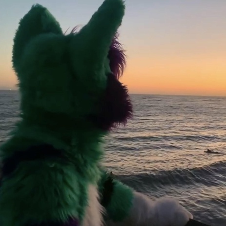Fursuit Friday cover art