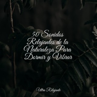 50 Sonidos Relajantes de la Naturaleza Para Dormir y Vibrar