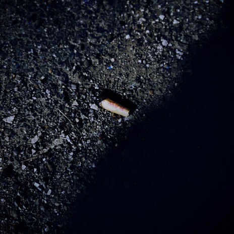 down to the roach cover art