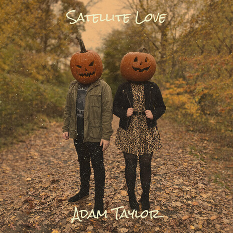 Satellite Love cover art