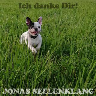 Ich danke Dir! cover art