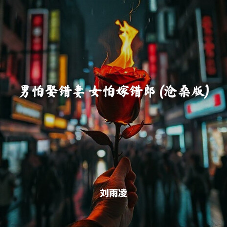 男怕娶错妻 女怕嫁错郎 (沧桑版) cover art