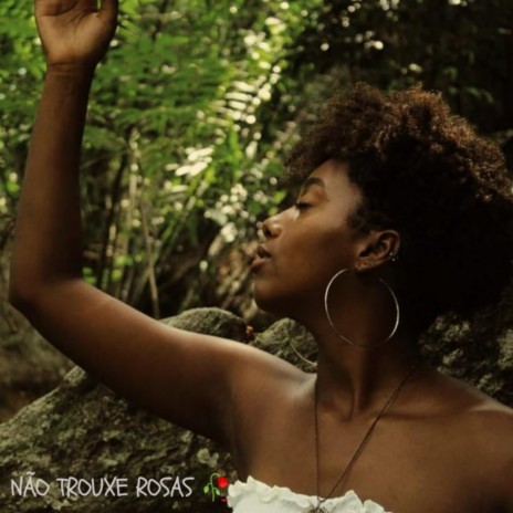 Não Trouxe Rosas cover art