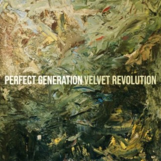 Velvet Revolution