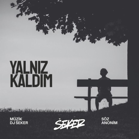 Yalnız Kaldım cover art