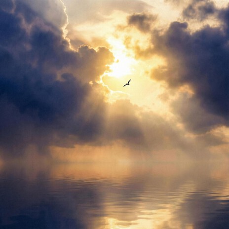 The First Light of Dawn cover art