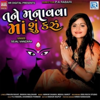 Tane Manavva Maa Su Karu cover art