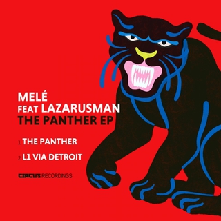 The Panther (Original Mix) ft. Lazarusman cover art