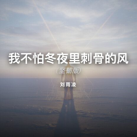 我不怕冬夜里刺骨的风 (坚韧版) cover art